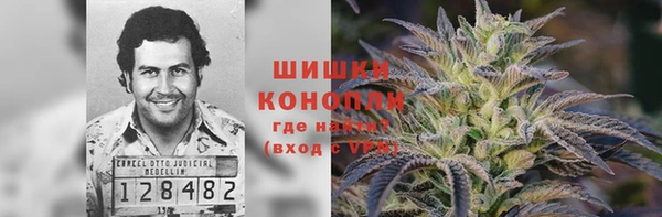 кокс Белокуриха
